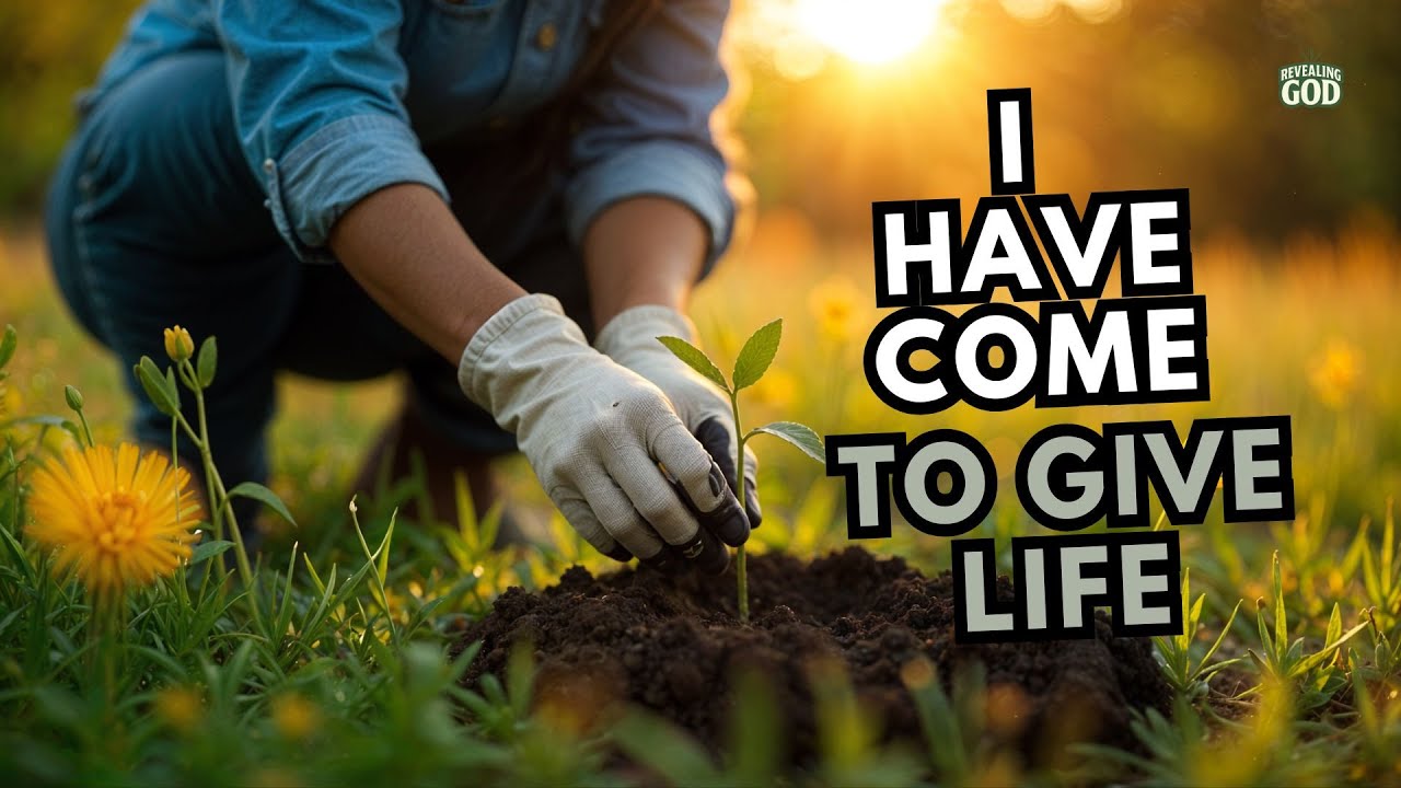 I Have Come To Give Life (The Thief Cometh Not Series)