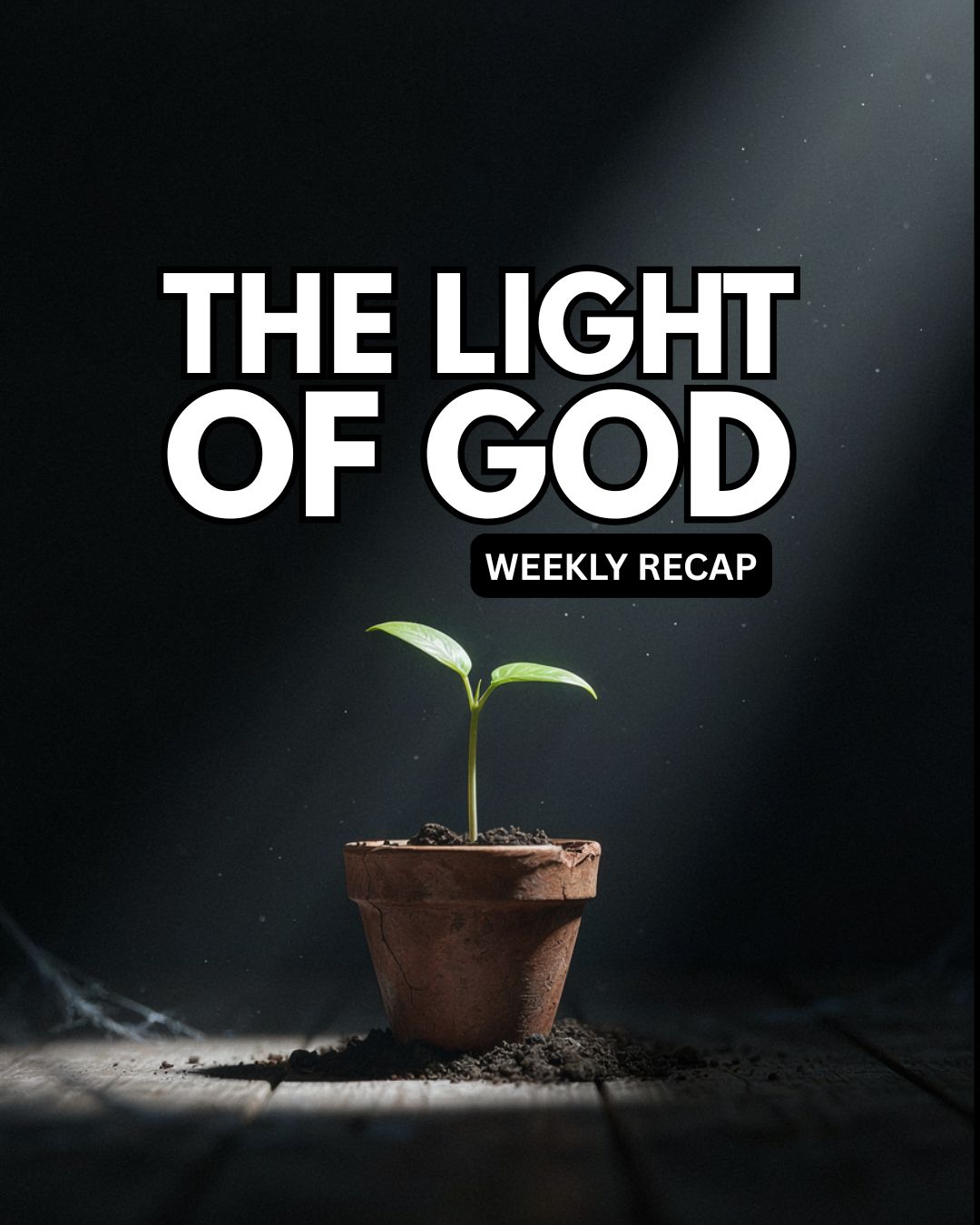 The Light of God (Weekly Recap)